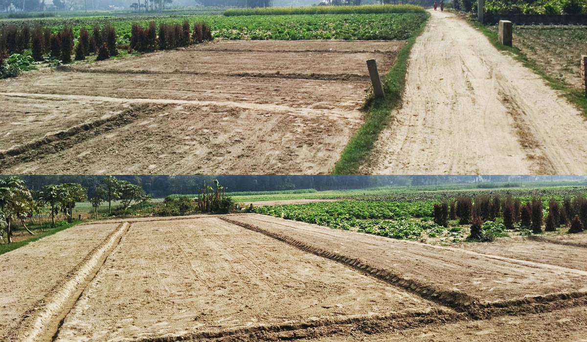 Project Site